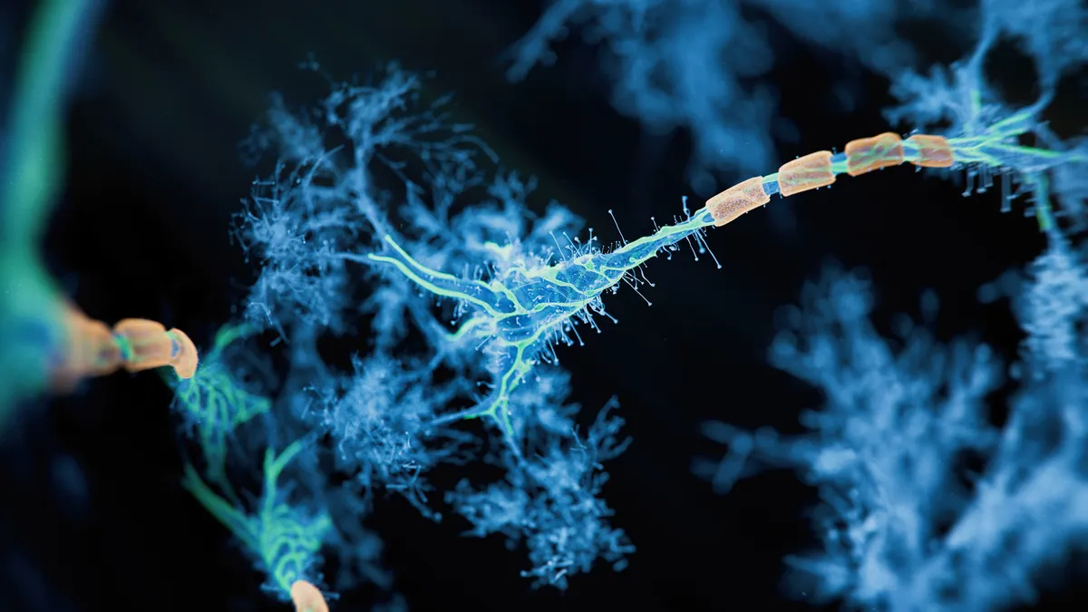 An illustration of a neuron cell network on a black background.