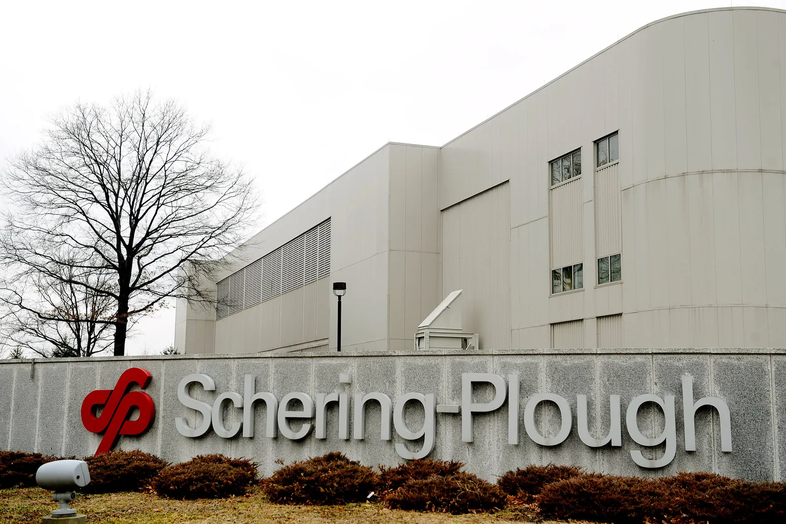 A concrete sign bears the words Schering-Plough outside of a grey office building.