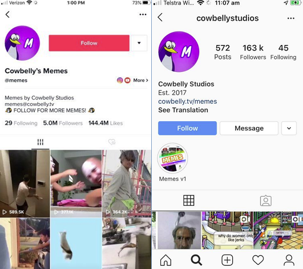 TikTok profile vs Instagram profile