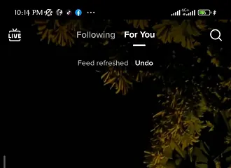 TikTok feed refresh