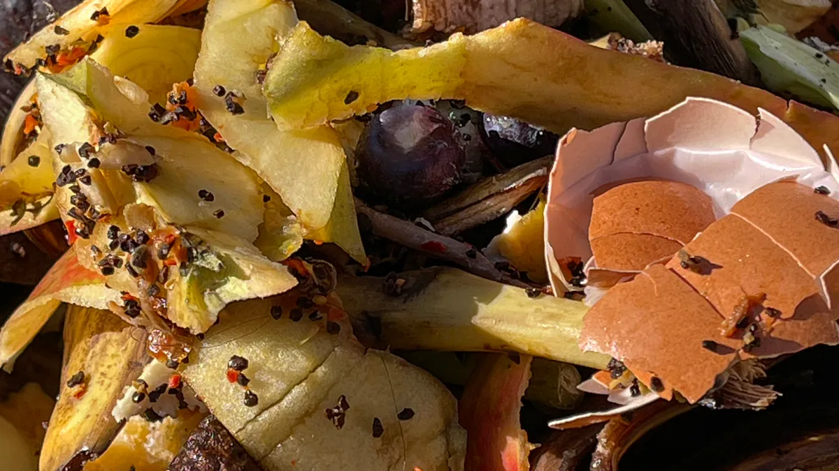 Close up of food scraps