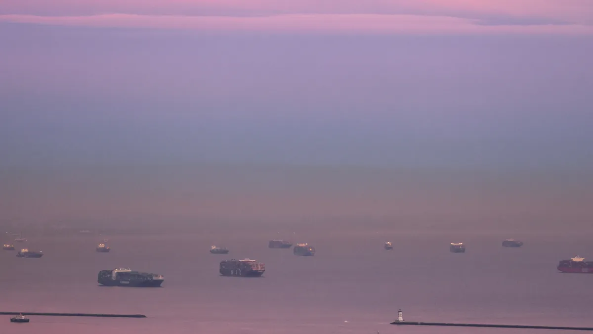 Container ships and tankers are anchored close to the ports of Los Angeles and Long Beach on February 1, 2021 in San Pedro, California.