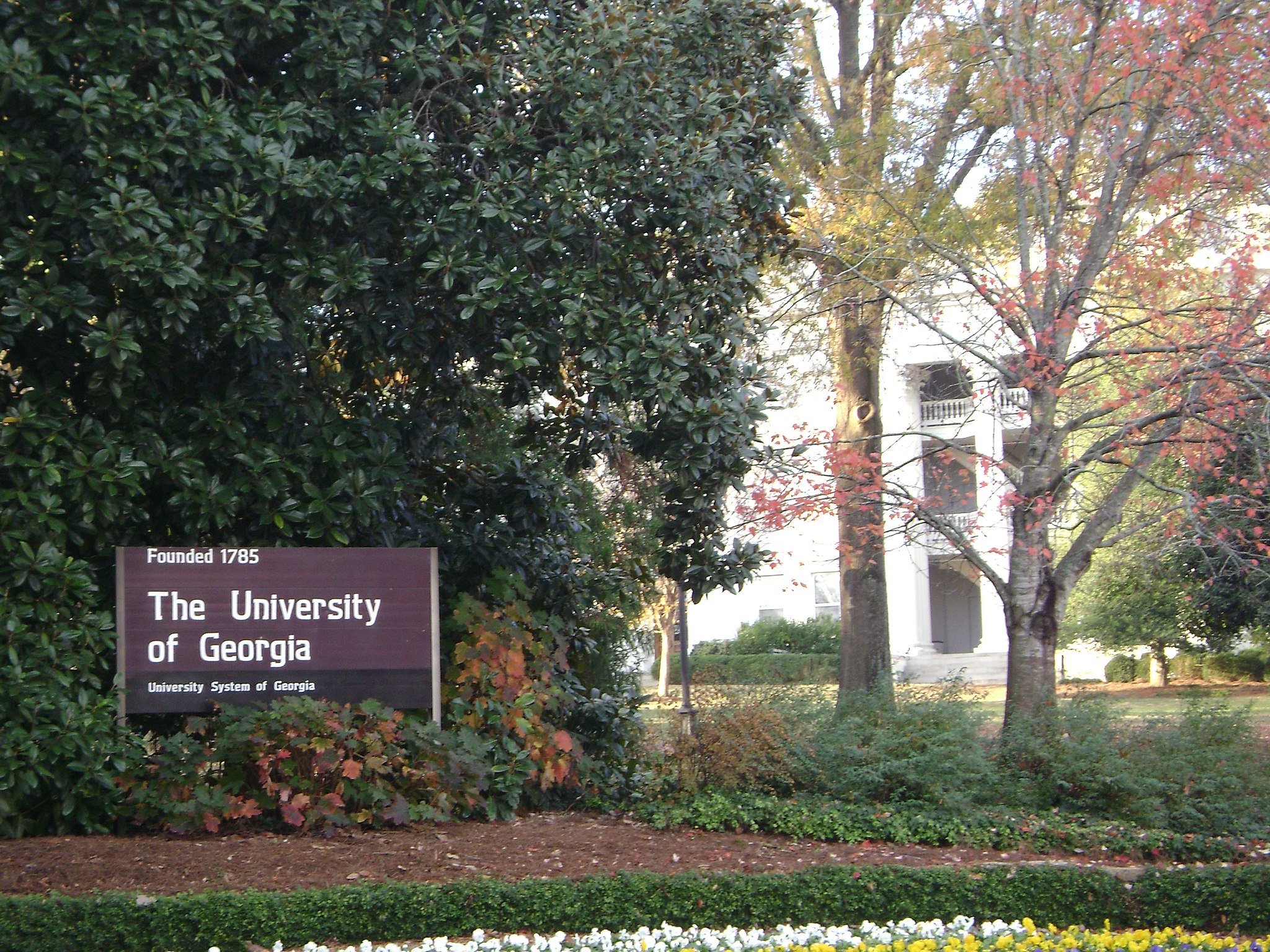 University of Georgia