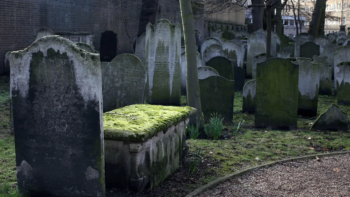 Rows of moss-covered tombstones are shown adorned by leafless trees in a cemetery.