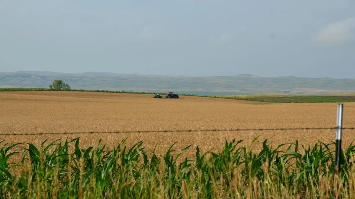 A wide, open field with golden crops, featuring a tractor working in the distance under a clear sky, with a fence and tall green plants in the foreground.