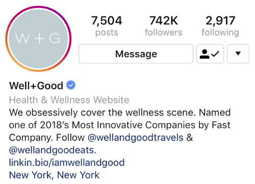 Instagram bio link example