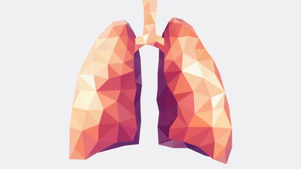 An illustration of human lungs with a geometrical effect.