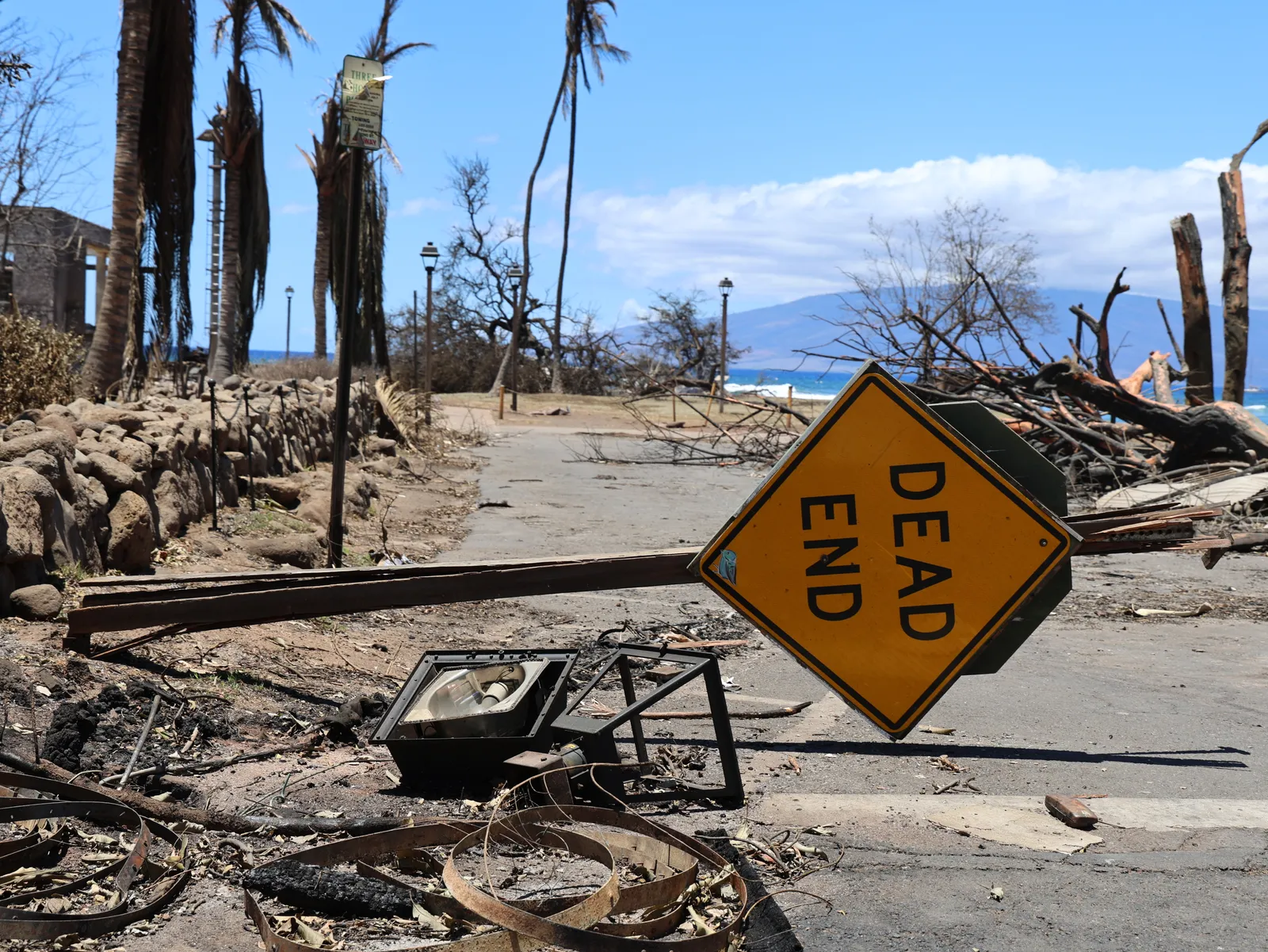 A yellow dead end sign lies across a road with burn trees and other detritus around it, and a blue sky and mountain in the background.