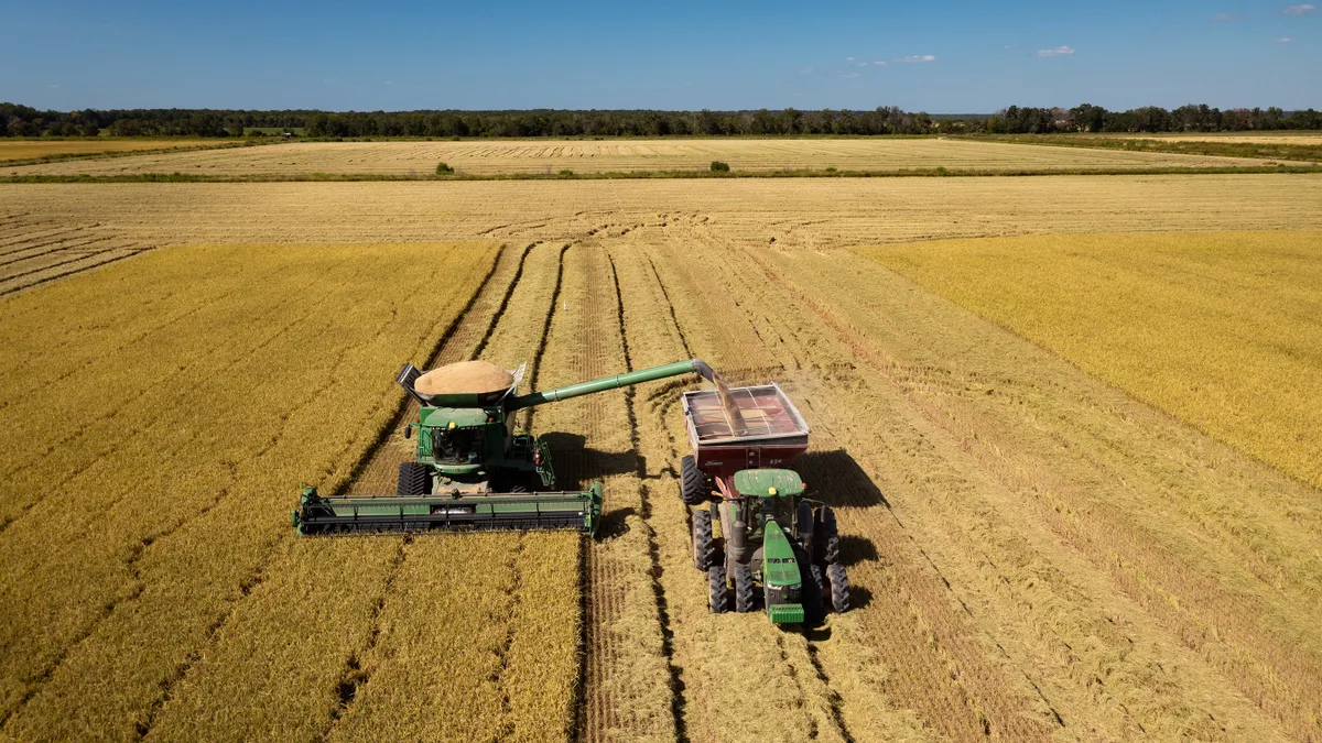 kellogg rice farming ag farmers