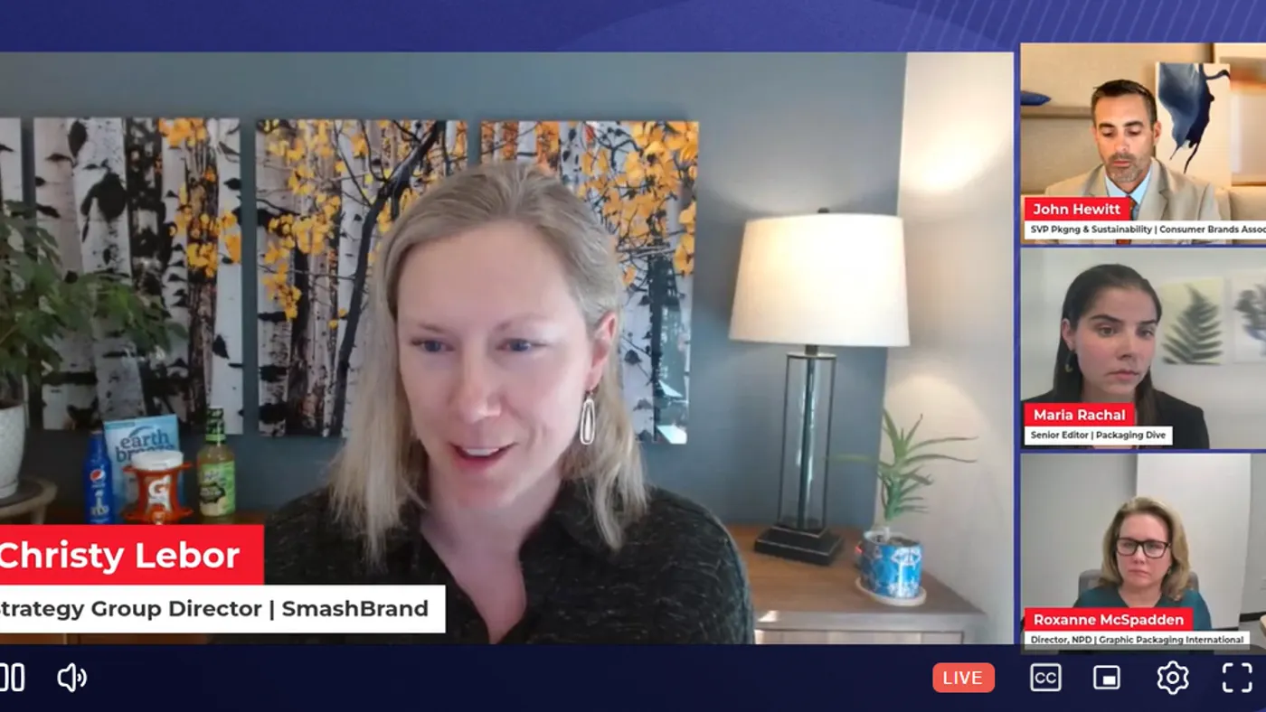 A screenshot of people speaking during a webinar