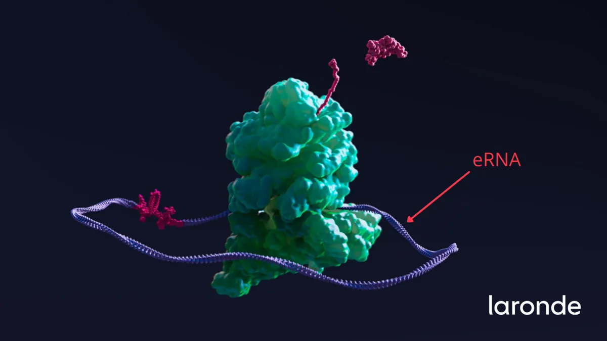 A 3D visualization of Laronde's endless RNA, or eRNA