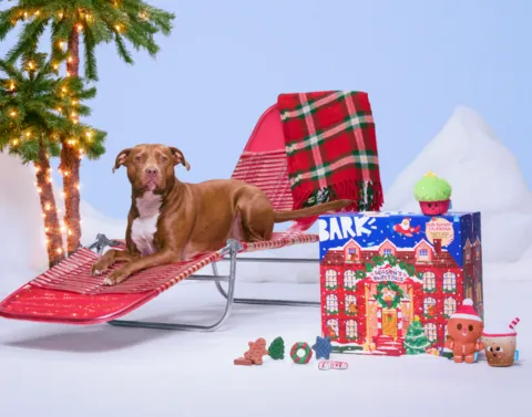 A dog sitting on a lounge chair next to Bark&#x27;s holiday advent calendar.