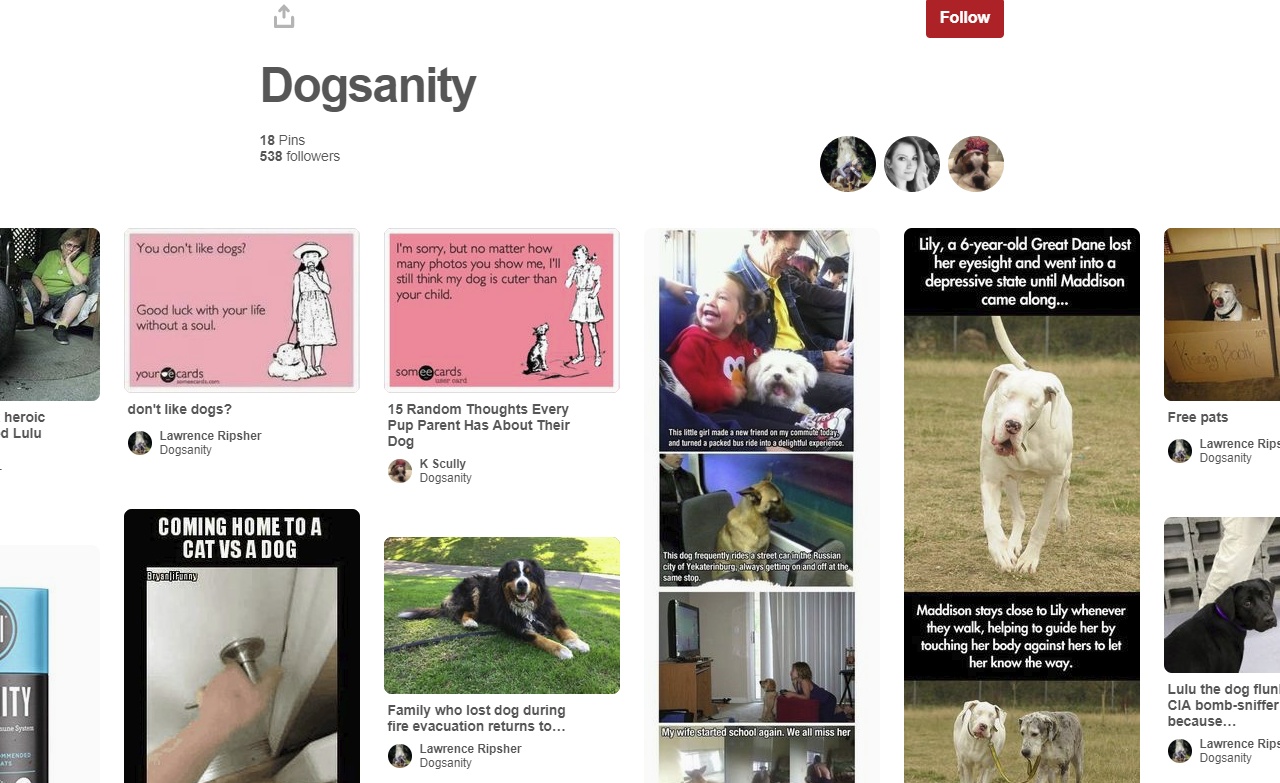 Pinterest Adds New Board 'Sections' to Help Better Organize Pin Presentation | Social Media Today