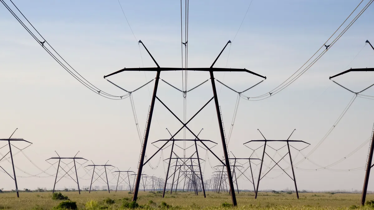 Power lines in the Florida Everglades.