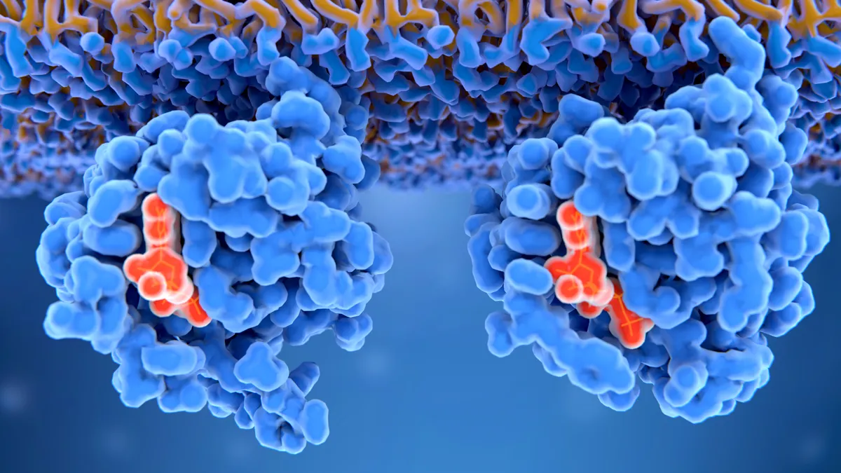 An illustration of a RAS protein