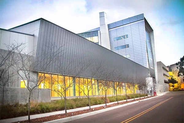 A shot of a building's exterior along a paved road. The modern looking building, covered in glass, looms in the photo.