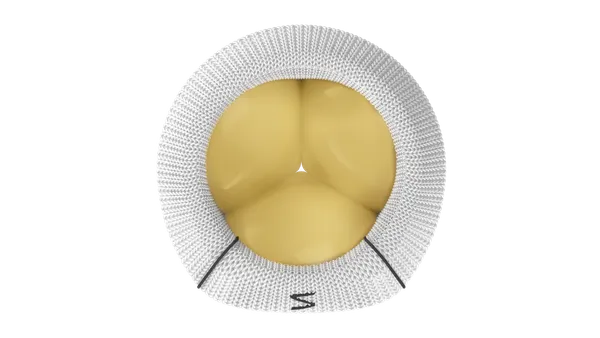 Triformis Resilia surgical tricuspid valve replacement