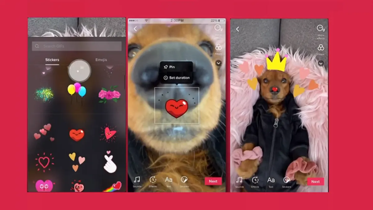TikTok Sticker Pinning
