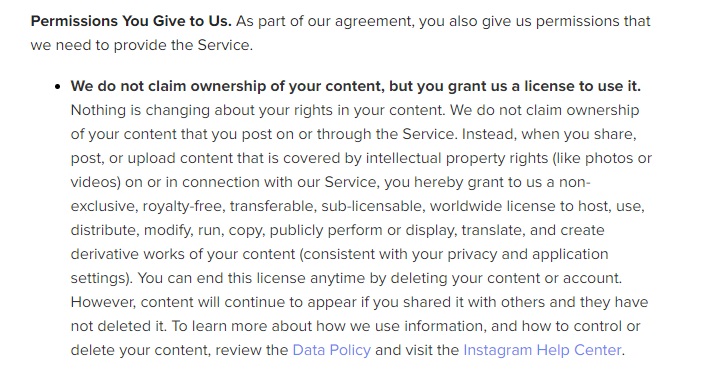 Instagram terms example