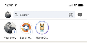 'Dogs of LinkedIn' Story