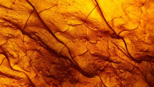 tobacco
