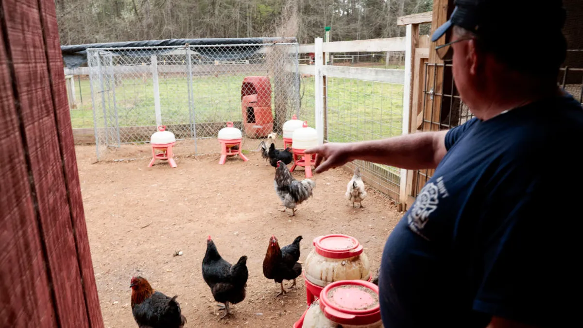 A farmer points to chickens on a cage-free farm