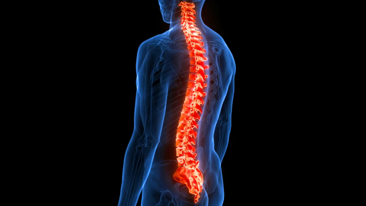 A 3D illustration concept of a spinal cord vertebral column.