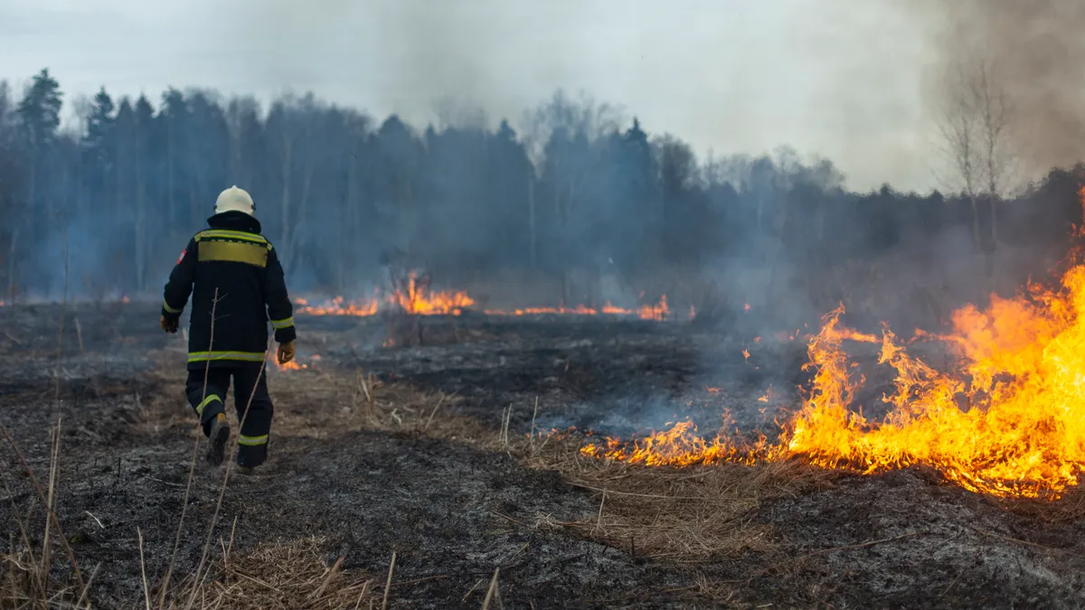 A person wearing firefighting gear walks into a field with flames