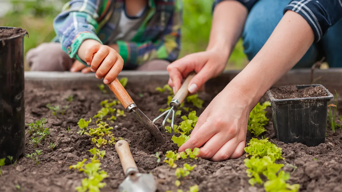 Two people working in a small garden together.