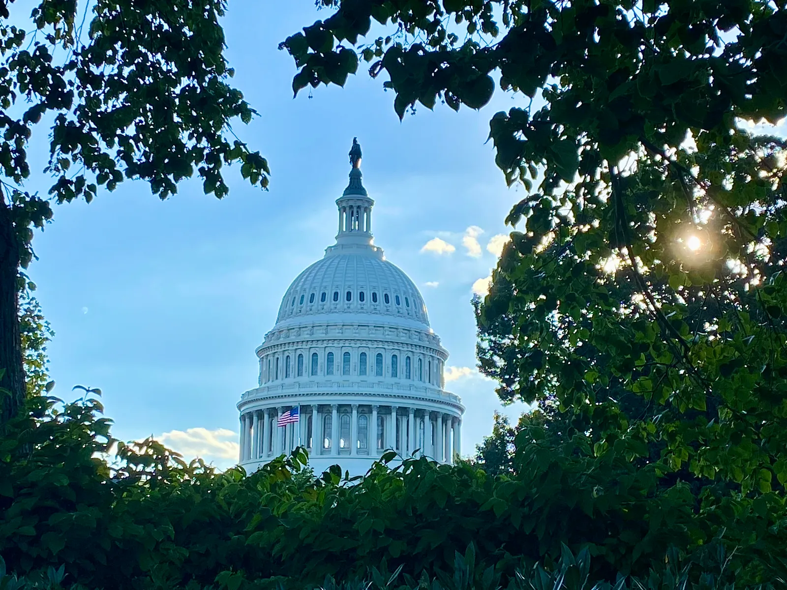 The United States Capitol surrounded by trees