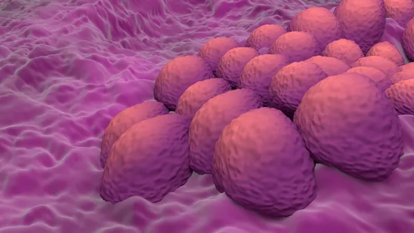 Endometrial cancer cells  in the uterus or cervix womb neck - closeup view 3d illustration