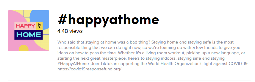 TikTok Happy at Home