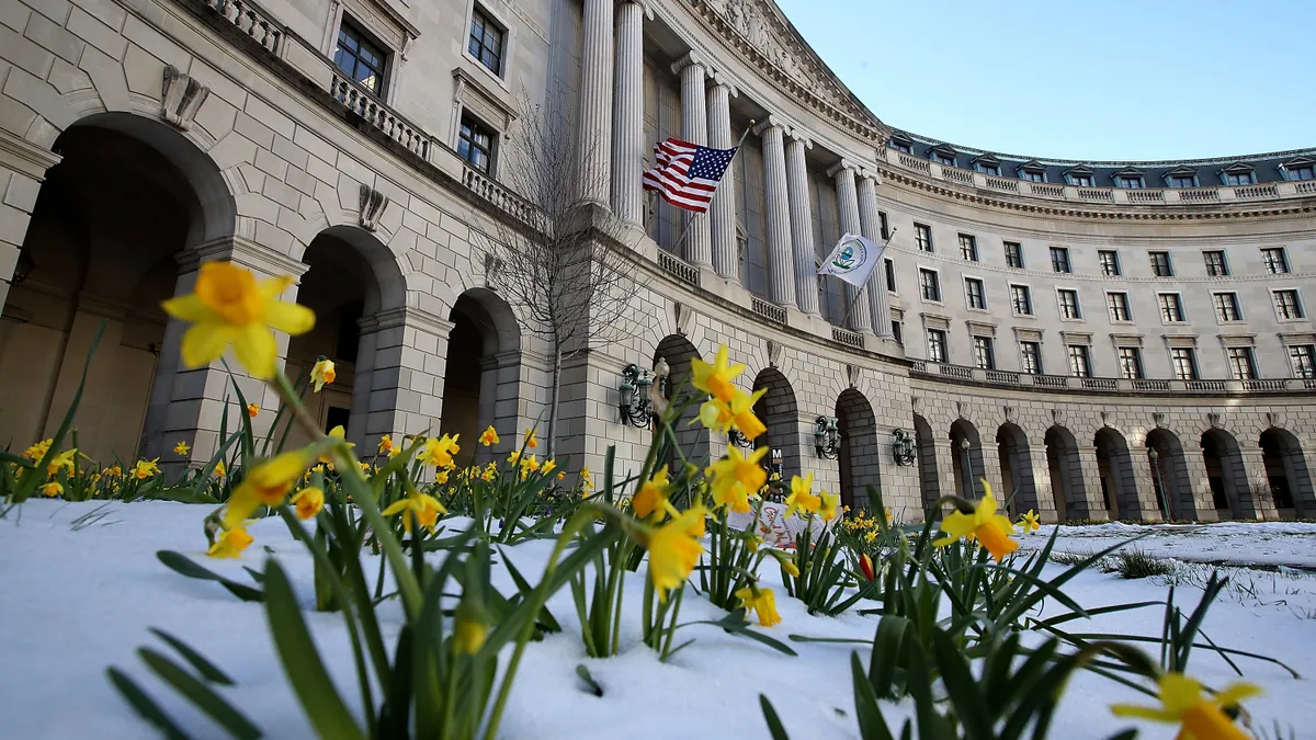 Daffodils bloom in the snow outside EPA headquarters.