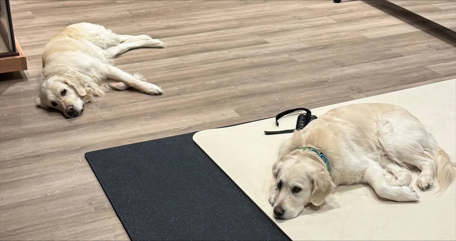 Pegasystems’ Ken Stillwell — coffee