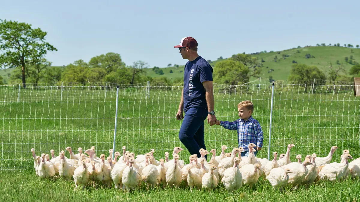 Jason Diestel, a fourth-generation farmer at Diestel Family Ranch, walks with his son among a field of turkeys.