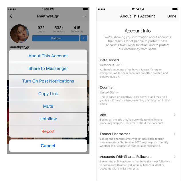Instagram account information screenshots