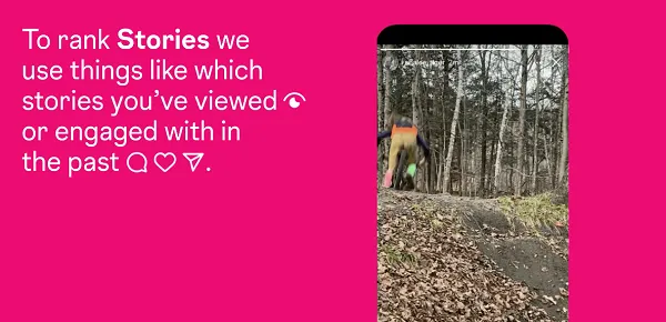 Instagram algorithm overview