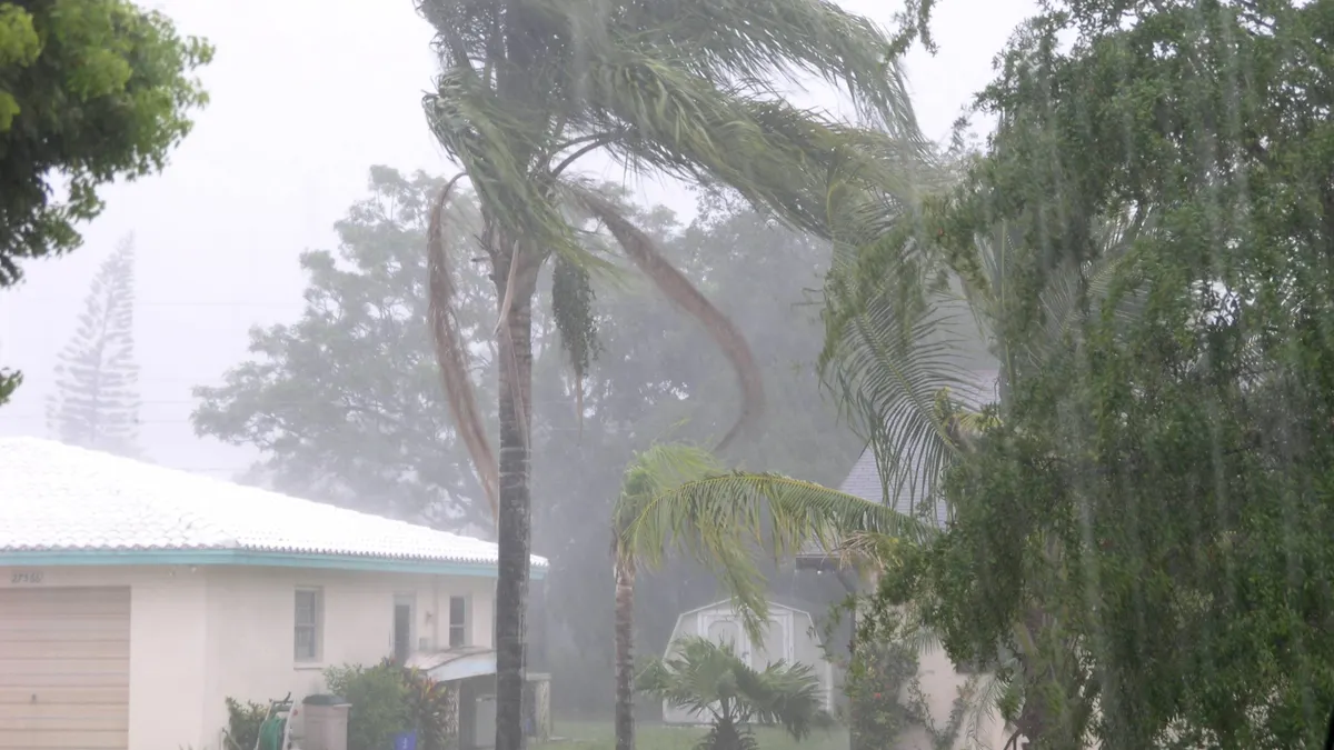 Storm on a house and a palm tree.