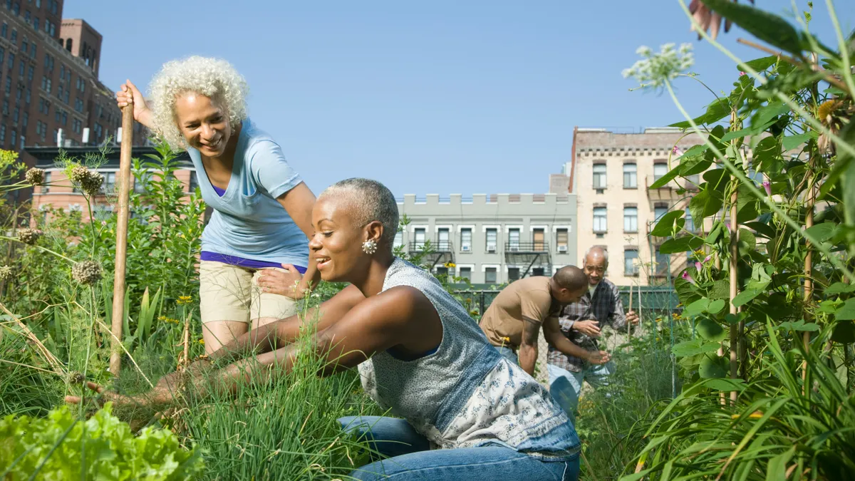 Women working in a community garden.