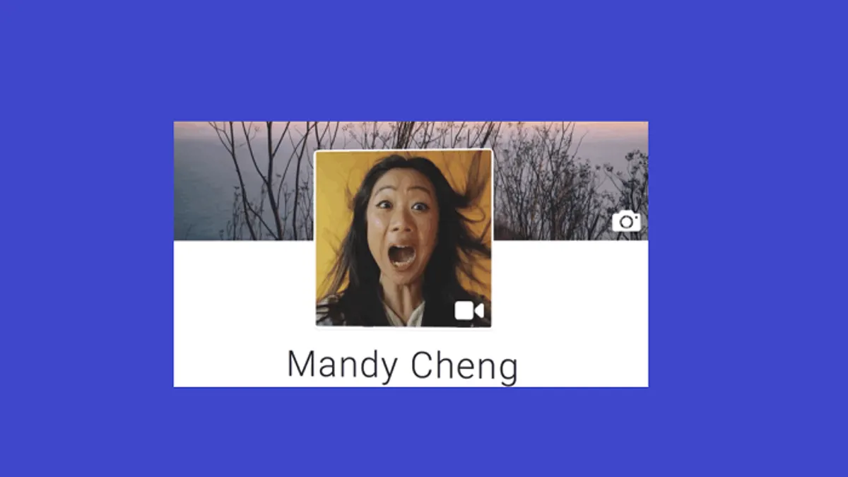 Facebook video profile