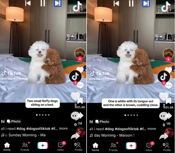 TikTok accessibility features