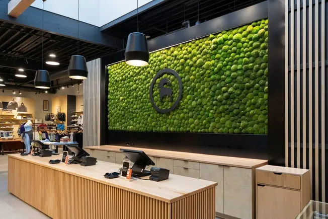 Backcountry acquires Coalatree as it debuts brand incubator