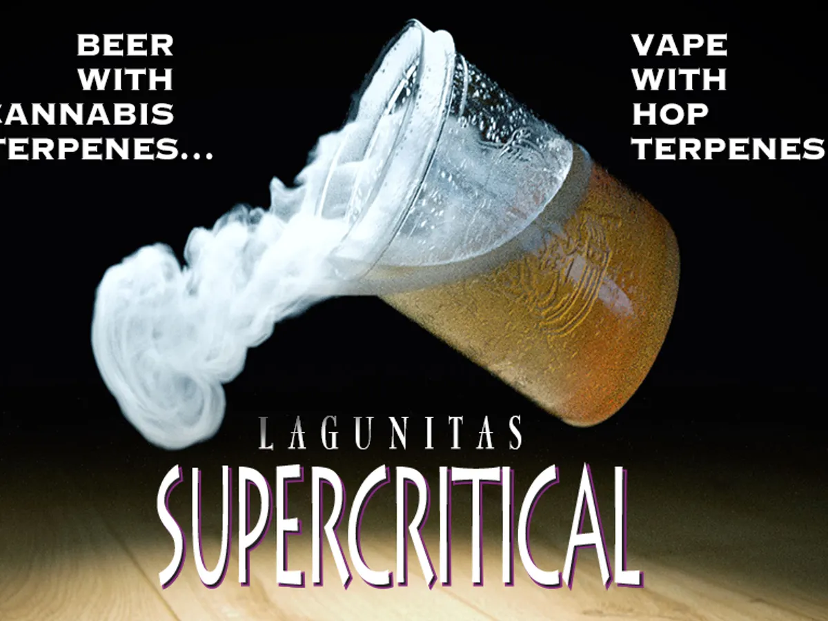 Beer world buzzing over new cannabis IPA