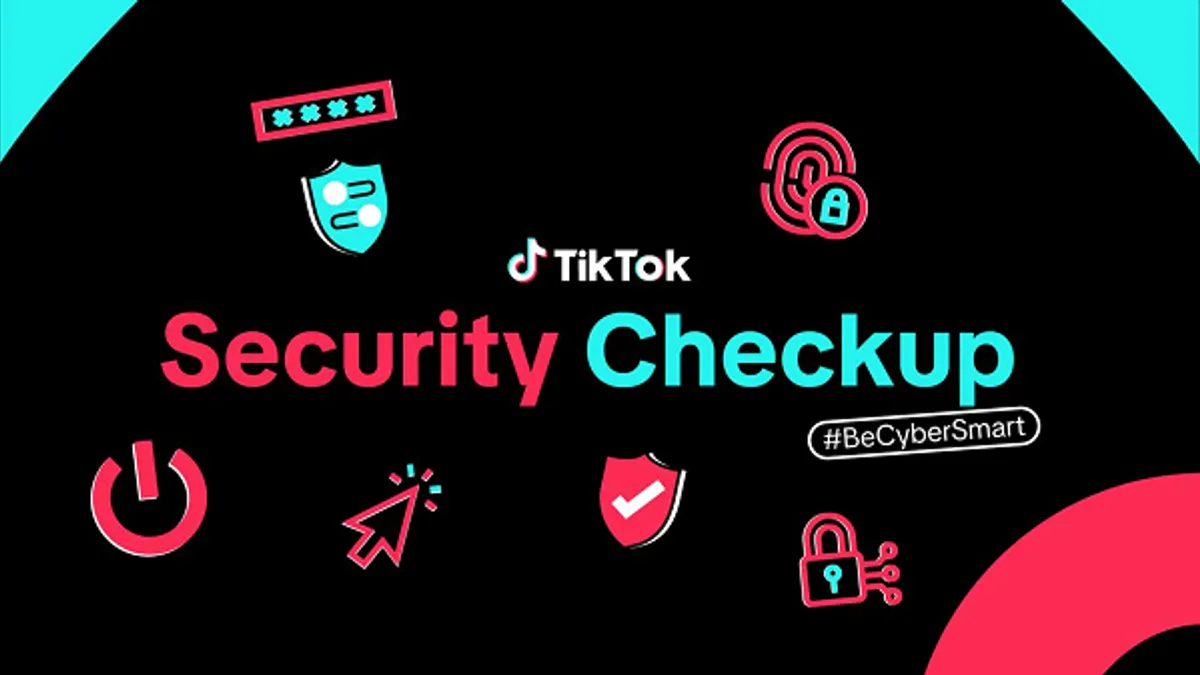 TikTok Security Check-Up