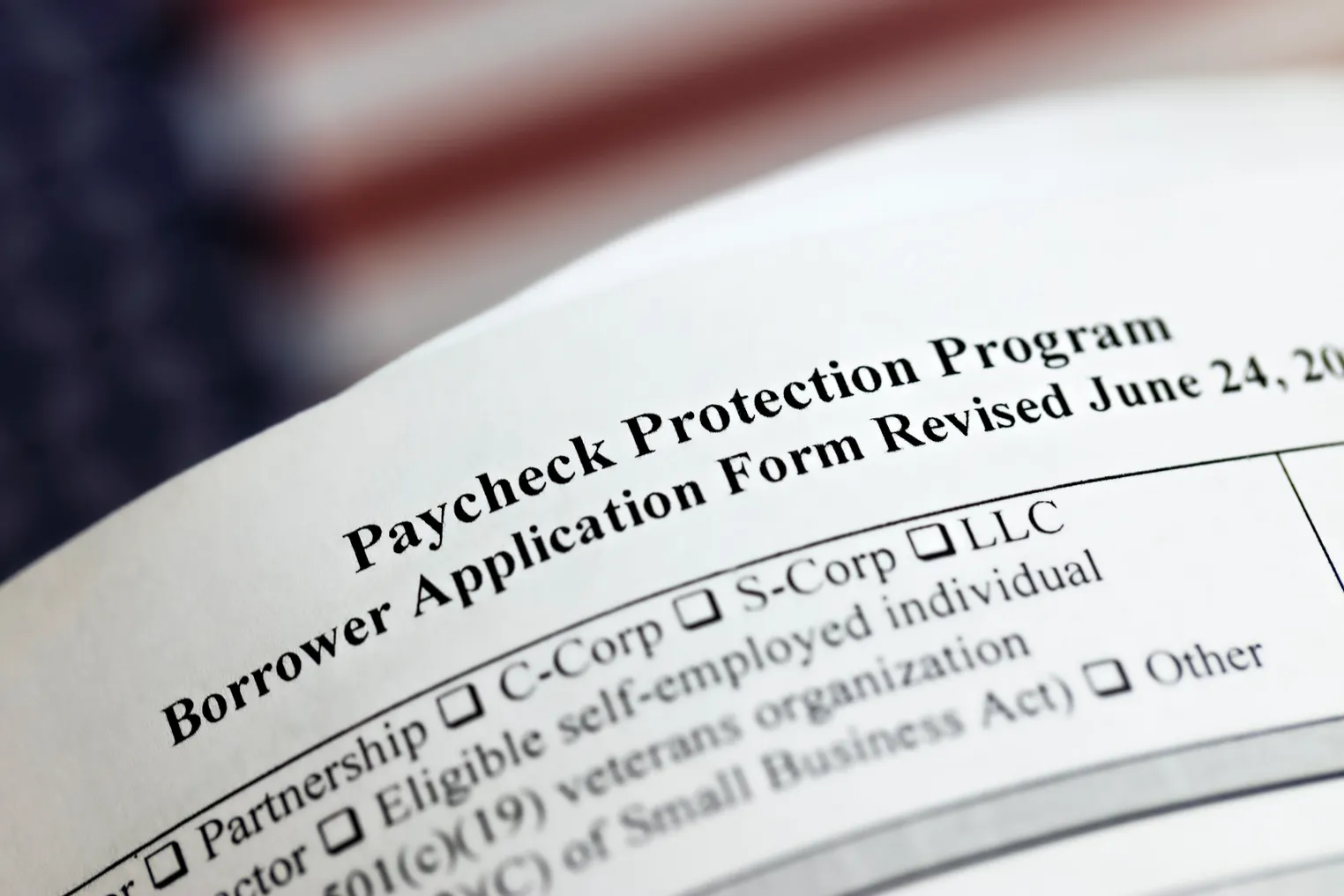 A paper is shown with the words Paycheck Protection Program Borrower Application Form