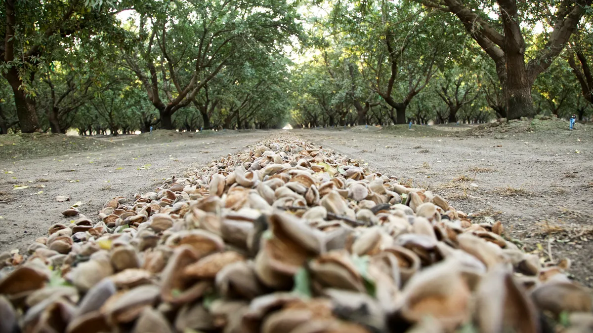 Almonds harvested from California trees.