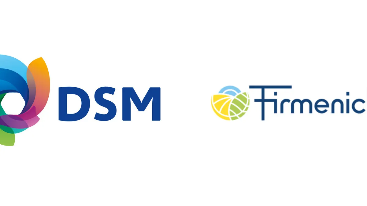 DSM Firmenich