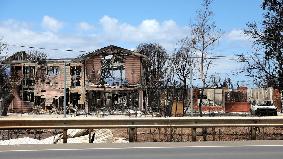 Shot of burnt house and trees from the road