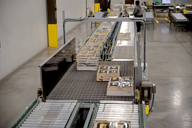 Building a more resilient food and beverage supply chain with automation
