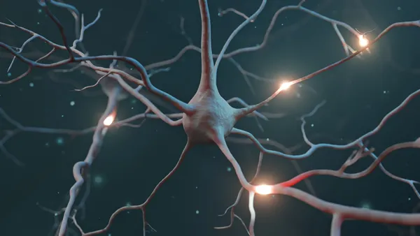 An illustration of a neuron inside the brain.